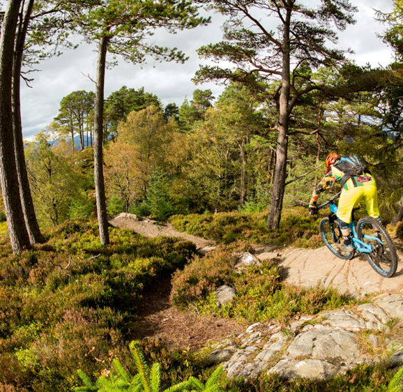 Laggan Wolftrax Trail Centre